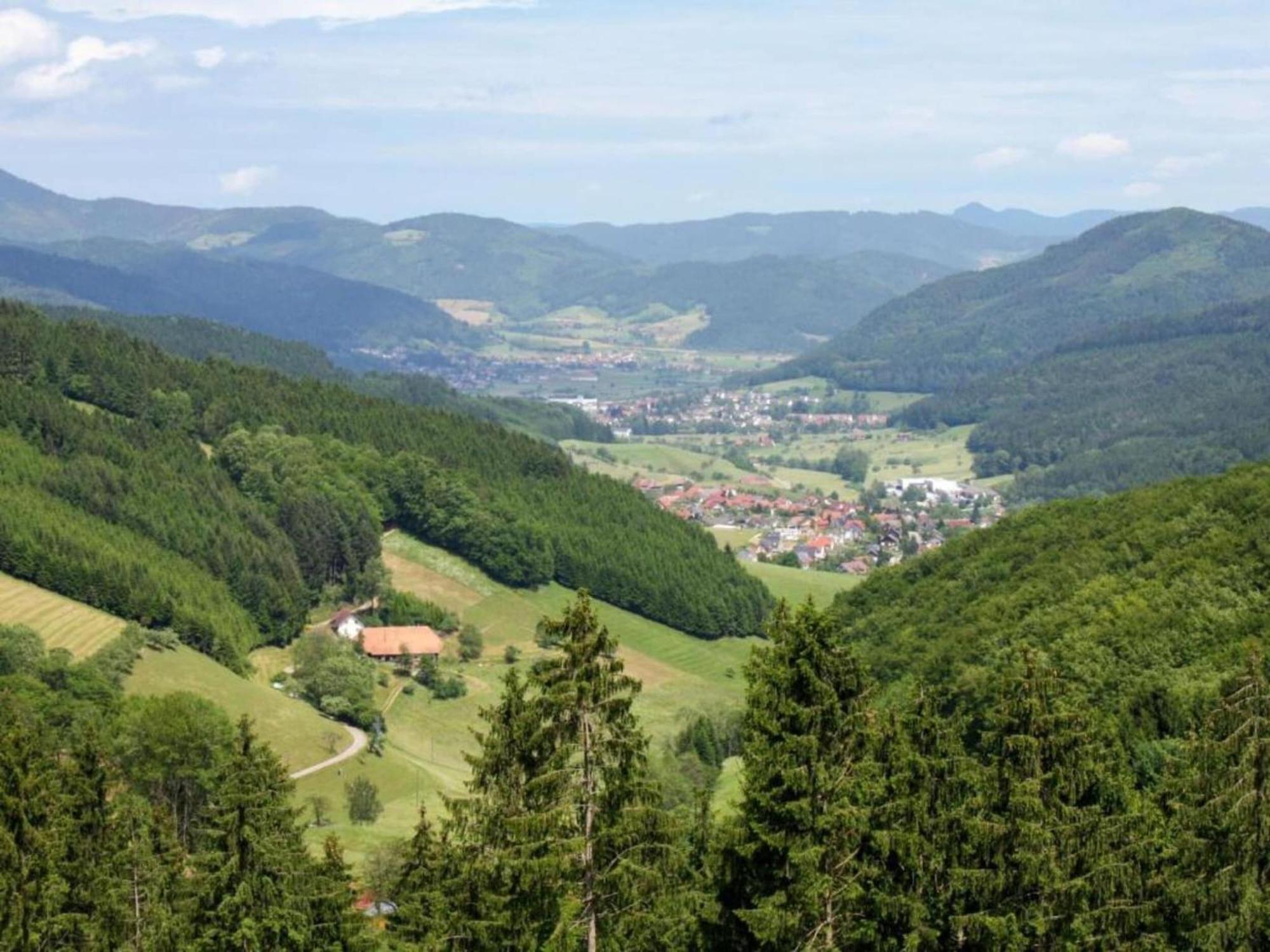 Charming Apartment In Regelsbach Near City Centre Schuttertal Kültér fotó
